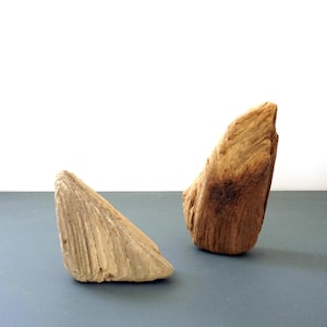 May include: Two pieces of driftwood, one is light brown and shaped like a triangle, the other is a darker brown and shaped like a teardrop.