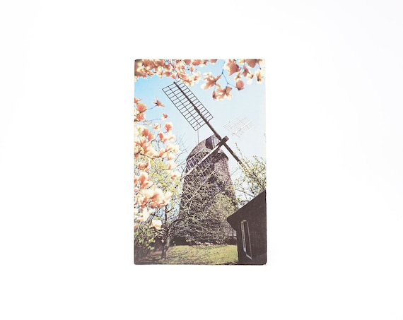 Vintage Easthampton Windmill Postcard Kodachrome Photo Card 1950s Long Island Souvenir Postcard Hamptons Scene Magnolias Historical Landmark