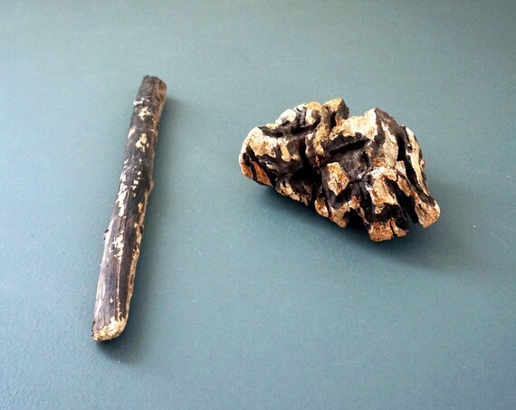 Driftwood Pieces Pair Unique Wood Form Dark Brown Weathered Sea Worn Beach Find Long Island Sound Salvaged Repurpose Chunk Drift Wood Stick