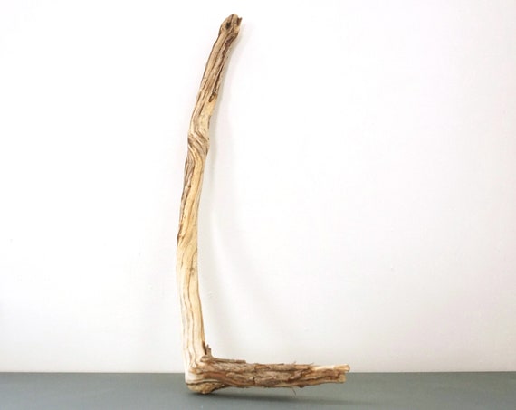 Driftwood Stick Burled Wood Sea Worn Sun Bleached Beach Find Long Island Sound Salvage Unique Sculptural Form Marbled Look Wood To Repurpose