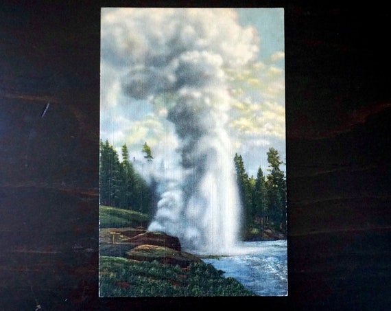 Vintage Postcard Yellowstone National Park Riverside Geyser Erupting Photo 1940s Genuine Curteich-Chicago C.T. Art Colortone Post Card 955
