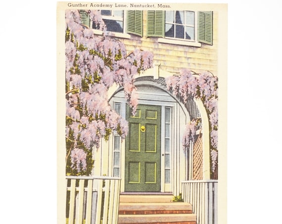 Vintage Postcard Nantucket MA Gunther Academy Lane Post Card 40s Tichnor Quality Views 66810 Linen Postcard Wisteria Street View Building