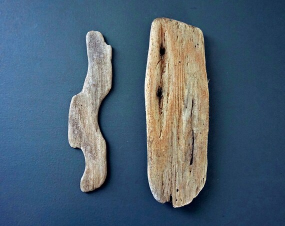 Driftwood Pieces Unique Wood Shapes Sun Bleached Weathered Sea Worn Beach Finds Long Island Sound Salvaged Repurpose 2 Pieces