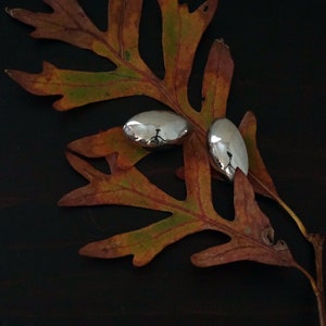 May include: Two silver-colored, smooth, oval-shaped earrings resting on a brown, dried leaf with a textured surface.