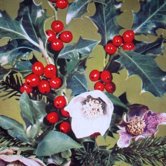 Christmas Post Card Midcentury Germany Holiday Holly Photo