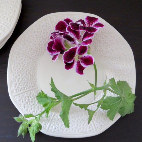 Antique Basket Weave Plates Octagonal White 1910s J.B. & W Germany Salad Plate Set of 5 Majolica Style