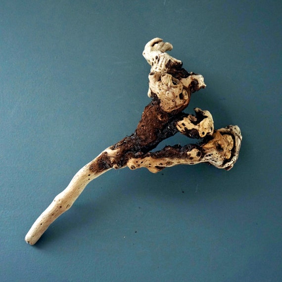 Driftwood Piece Unique Wood Root Piece Sun Bleached Sea Worn Beach Find Long Island Sound Salvaged Nautical Decor Beach House