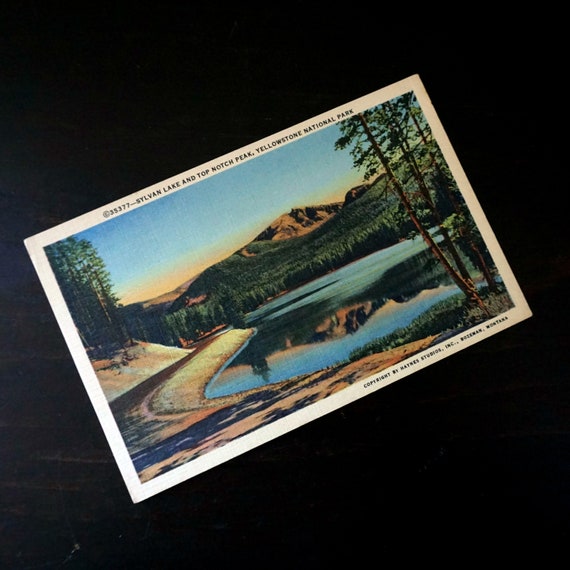 Vintage Postcard Yellowstone National Park Sylvan Lake Top Notch Peak Haynes 40s Genuine Curteich-Chicago C.T. Art Colortone Post Card 35377