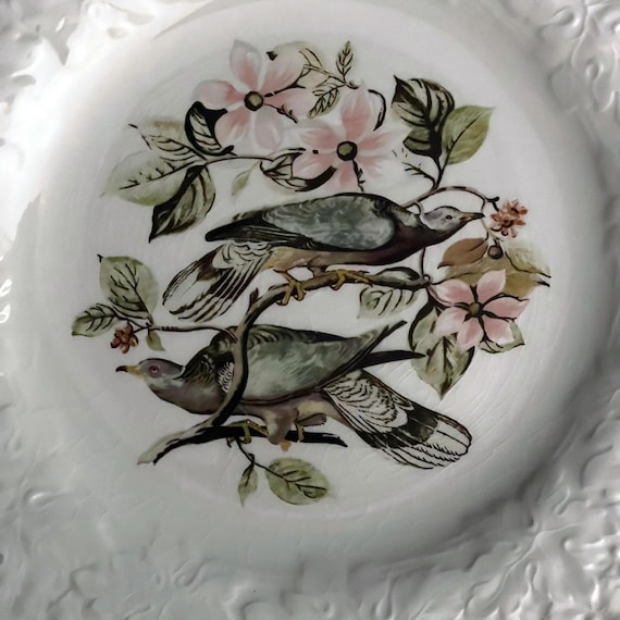 Vintage Band-Tailed Pigeon Dish Alfred Meakin Birds of America National Audubon Society Pigeon #367 Embossed Rim Off White Dinner Plate 10"