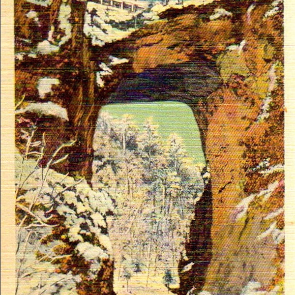 Vintage Postcard Virginia Landmark 1940s Paper Ephemera