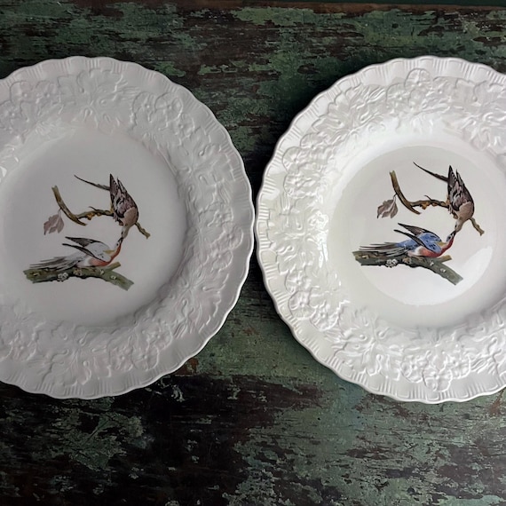 Vintage Pigeon Dish Alfred Meakin Birds of America National Audubon Society Passenger Pigeon #62 Embossed Rim Off White Dinner Plate 10 7/8"