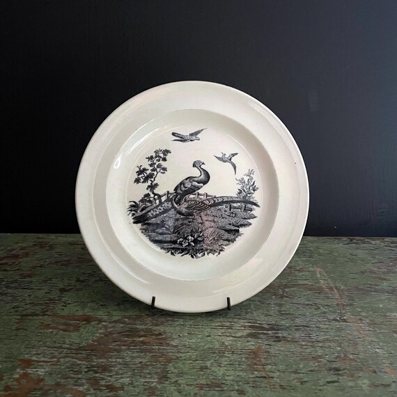 Antique Etruria Plate Wedgewood England Creamware Peacock Birds Black on White Liverpool Transferware Salad Plate 8" w/ out Trim Early 1900s