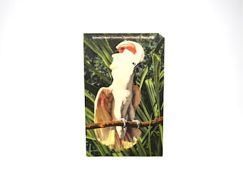 Vintage Miami Postcard Bird Cockatoo Florida 1940s Parrot