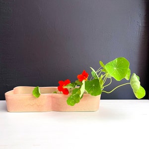 May include: A pink ceramic planter with a unique, wavy shape, filled with green leaves and orange flowers.