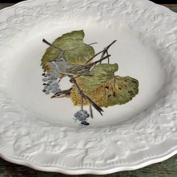 Vintage White Crowned Sparrow Dish Alfred Meakin Birds of America National Audubon Society Pigeon #114 Embossed Rim Off White Dinner Plate