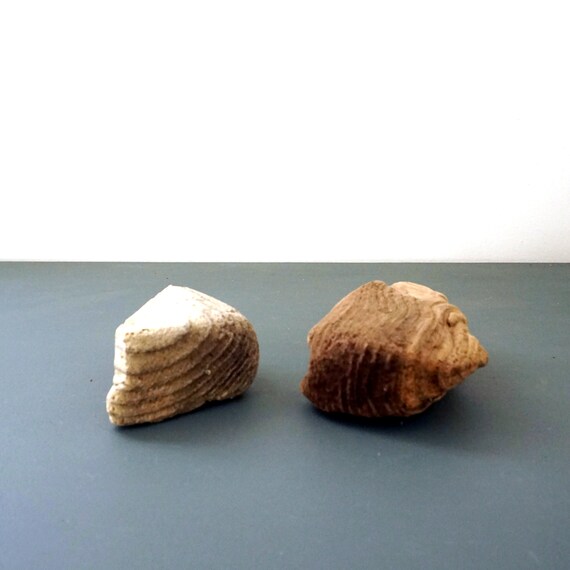Sun Bleached Driftwood Pieces: Triangular Salvaged Wood, Beach