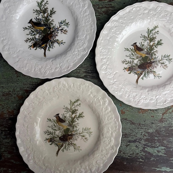 Vintage Dish Alfred Meakin Birds of America National Audubon Society Transfer #43 Cedar Bird Embossed Rim Off White Dinner Plate 10 7/8"