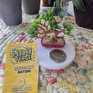 May include: A miniature bonsai tree with green plastic needles and a brown trunk, potted in a small rectangular red container filled with white pebbles. Next to it is a yellow MGA's Miniverse Make It Mini Nature Series 3 box and a US quarter coin.