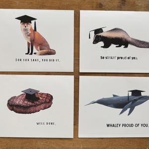 Graduation Pun Greeting Card Set – Funny Grad Cards – 4 Pack