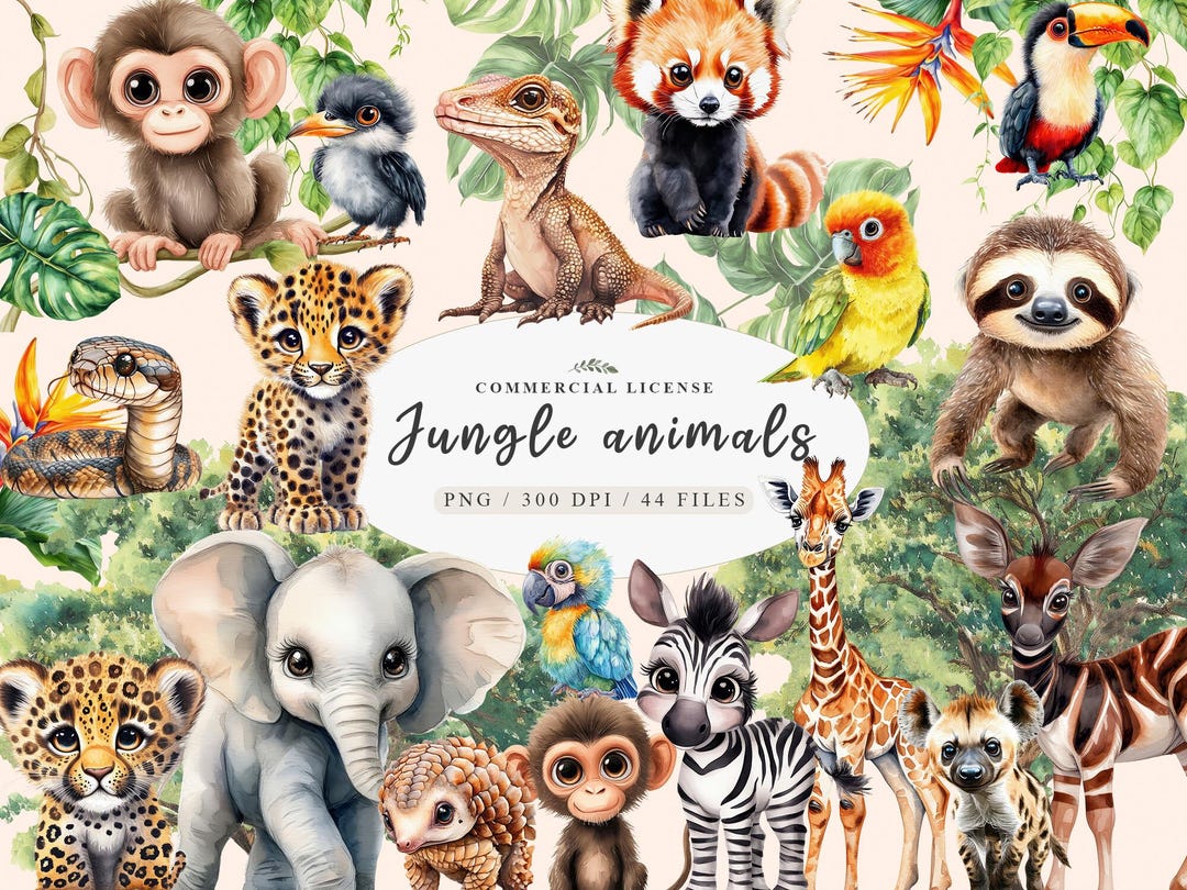 Jungle Animals Clipart Bundle - Etsy