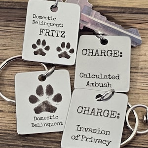 May include: Four rectangular silver-toned metal pet tags with rounded corners. One tag reads Domestic Delinquent: FRITZ with two paw prints. Another reads Domestic Delinquent with one paw print. Two tags read CHARGE: Calculated Ambush and Invasion of Privacy.