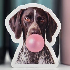 GSP Sticker | German Shorthaired Pointer Bubble Gum Sticker | Funny Pink Bubble Gum Sticker | Waterproof | Water Bottle Laptop Sticker