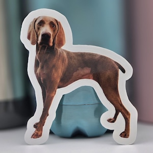 Custom Weimaraner Dog Sticker | Personalized Weim Photo Picture | Dog Decal | Waterproof | Laptop | Water Bottle | Gray Ghost | Memorial
