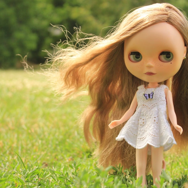 Schmetterling Blythe Puppe Collier Pullip Blythe Puppe Zubehör