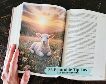 Fiches d'étude biblique chrétienne à imprimer | Notes de journal intime inspirées par la foi, illustrations bibliques (PDF)