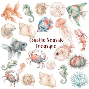 Può includere: Una collezione di illustrazioni ad acquerello raffiguranti vita marina tra cui pesci rossi, cavallucci marini, granchi, meduse, conchiglie e coralli, con il testo Coastle Seaside Treasure centrato in marrone scuro su sfondo bianco.
