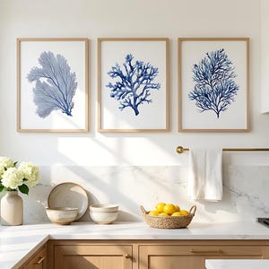 Puede incluir: Tres cuadros de pared con ilustraciones en acuarela azul de coral marino y algas sobre un fondo blanco, exhibidos en marcos de madera clara colgados en fila sobre una encimera de cocina con armarios y decoración.