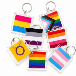 May include: A collection of seven square acrylic keychains, each featuring a different pride flag design. The flags include the pansexual, progress pride, asexual, lesbian, intersex, rainbow, and transgender flags, all attached to silver metal rings.