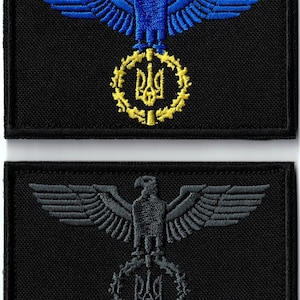 Puede incluir: Dos parches bordados. El parche superior presenta un águila azul sobre un emblema amarillo sobre un fondo negro. El parche inferior muestra un águila y un emblema grises sobre un fondo negro. Ambos parches son rectangulares.