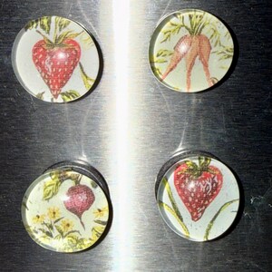 May include: Four round magnets with botanical illustrations. Two magnets feature red strawberries, one with a carrot, and one with a beet. The magnets have a clear, glass-like appearance and are set against a metallic background.
