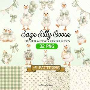 Può includere: Una collezione digitale ad acquerello intitolata Sage Silly Goose con oche bianche con fiocchi a quadretti verde salvia, palloncini, articoli per neonati e festoni. Il set include 32 file PNG e 4 motivi con disegni floreali su sfondo verde chiaro.