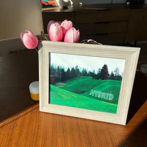 Könnte beinhalten: Ein gerahmtes Bild mit einer Landschaftsszene aus grünen Hügeln und Bäumen, mit dem Wort "HYBRID" in Weiß. Der Rahmen ist hellgrau und das Bild steht auf einem Holztisch. Rosa Tulpen sind im Vordergrund.