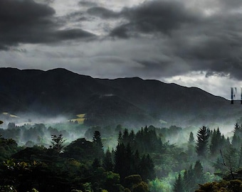 Emerald Morning West Coast NZ Landscape Print – Moody Forest Wall Art (Digital Download)
