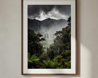 Misty West Coast NZ Forest Print – Moody Rainforest Landscape (Digital Download)