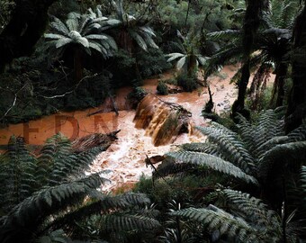 Flooded Muddy River in NZ Rainforest with Punga Ferns | Dramatic Digital Download