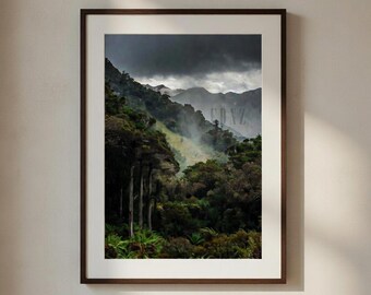 Ominous West Coast NZ Forest Print – Misty Mountains, Stormy Sky (Digital Download)