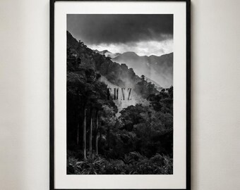 Ominous West Coast NZ Forest Print – Misty Mountains Landscape (Digital Download)