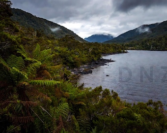 Chilly Lake Moana West Coast NZ | Dramatic NZ Rainforest Landscape Print | Digital Download