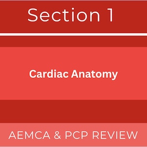 Può includere: Grafica rossa con testo bianco. La sezione superiore recita "Sezione 1". Sotto, un rettangolo rosso mostra "Cardiac Anatomy". La sezione inferiore recita "AEMCA & PCP REVIEW".