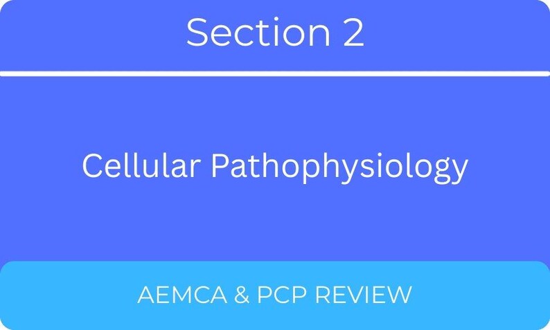 AEMCA Shock & Perfusion Flashcards - Etsy Canada