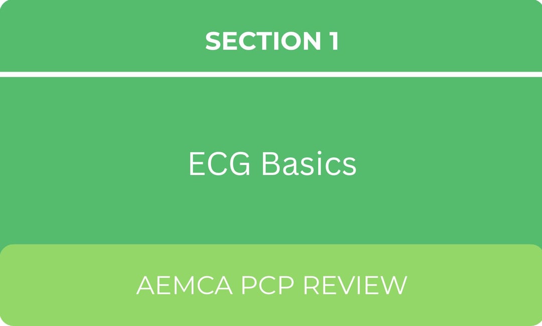 AEMCA ECG Rhythms - Etsy