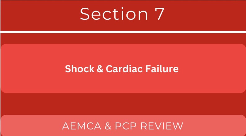 AEMCA Cardiology & ECG Study Flashcards - Etsy Canada