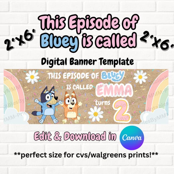 Girls Rainbow Bluey Episode Birthday Party Banner Digital 2x6