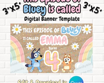 Girls Rainbow Bluey Episode Birthday Party Banner Digital 3x5