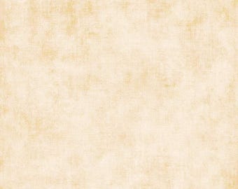 Riley Blake Designs Shades Cotton  (Fat Quarter or 1/4 yard)