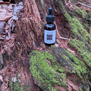 May include: A small glass bottle with a black dropper cap, labeled "Adaptogens Wild Tincture 1 fl oz." sits on a moss-covered, weathered tree stump. The bottle is filled with a dark liquid. The background features more of the tree stump and forest floor.